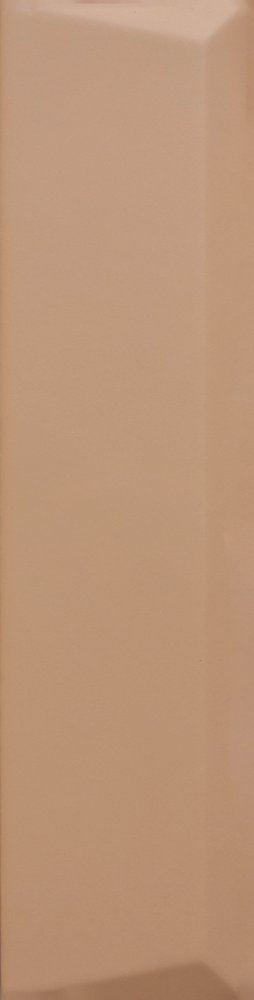 Biscuit Peak Terra ( 50 x 200, Paradise ) - 1