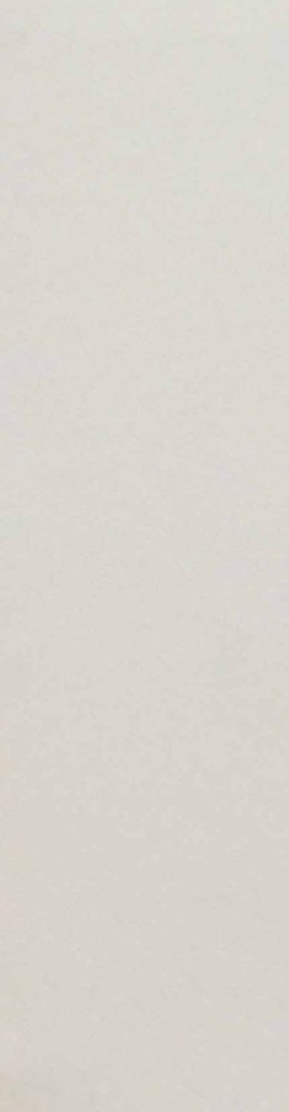 Biscuit Plain Bianco ( 50 x 200, Paradise ) - 1