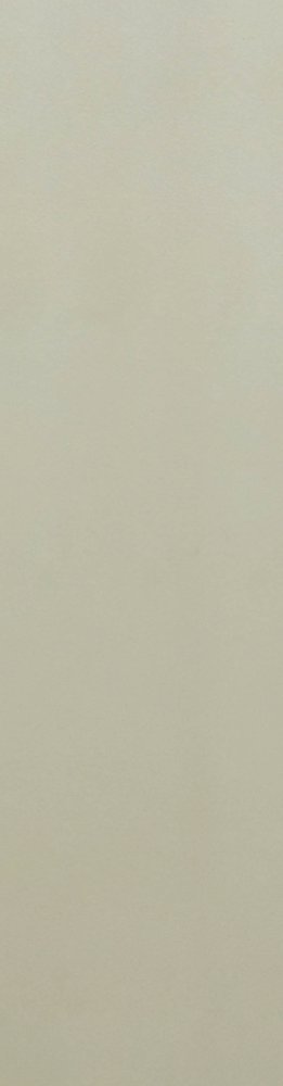 Costa Nova Beige Pale Matt (50 x 200, Milagro) - 1