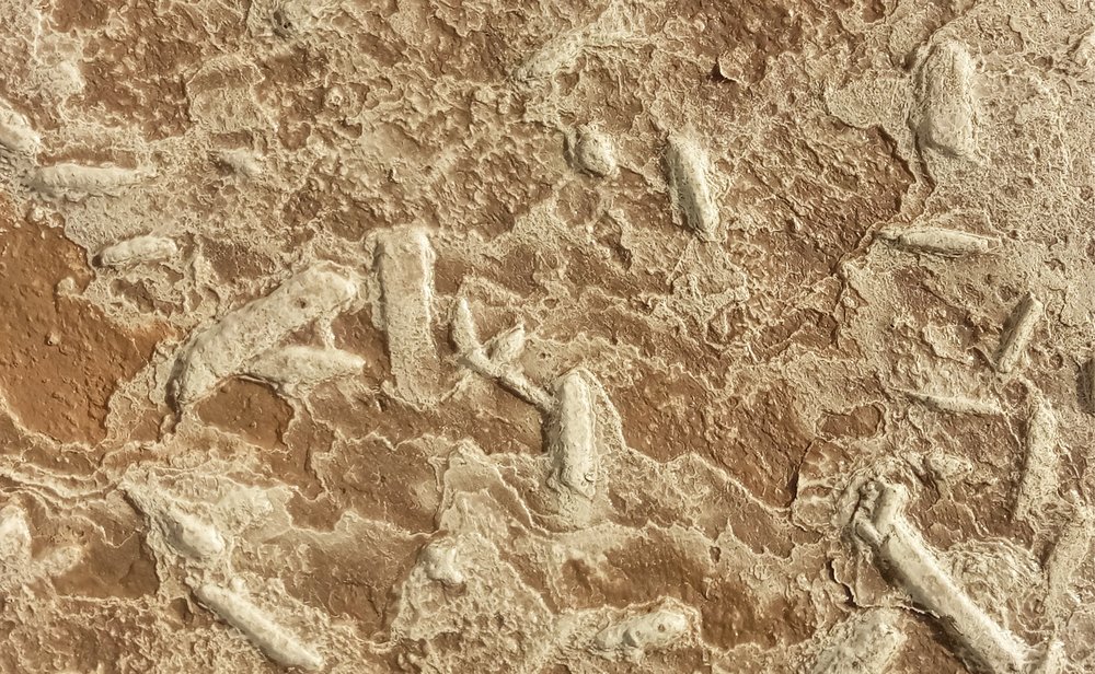 Skyfall Mocha (16.25" x 26.4,Flexstone) - 1