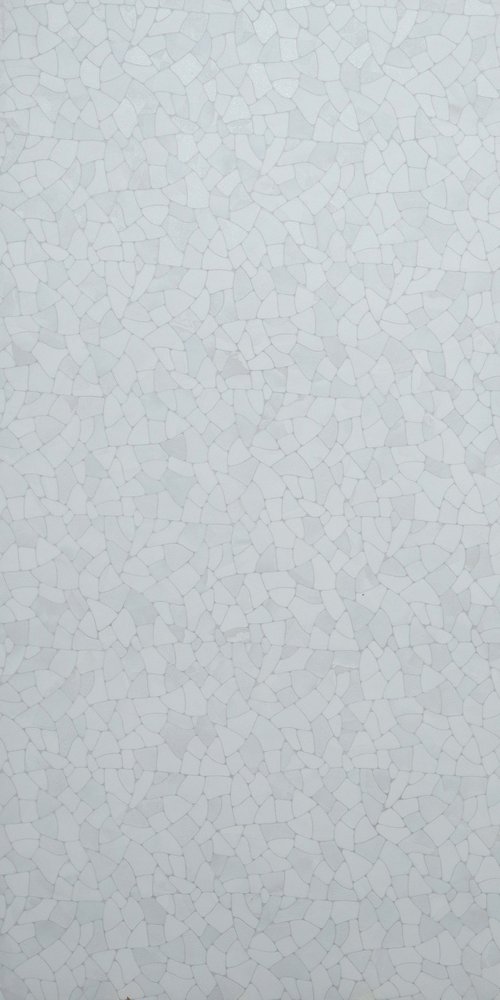 Savips Bianco Matt Matt with Glossy effect (600 x 1200, Exotica) - 1