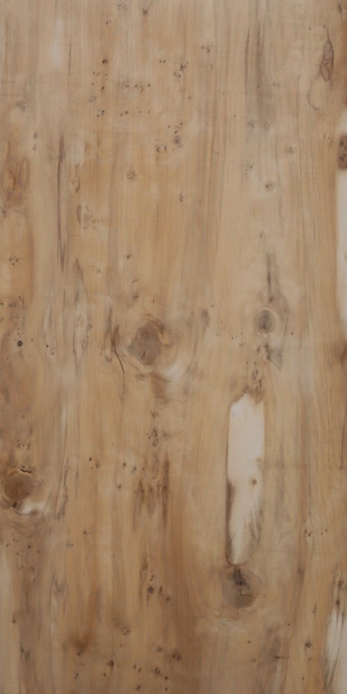 Kumbak  Yellow (600 x1200, Lorence) - 1