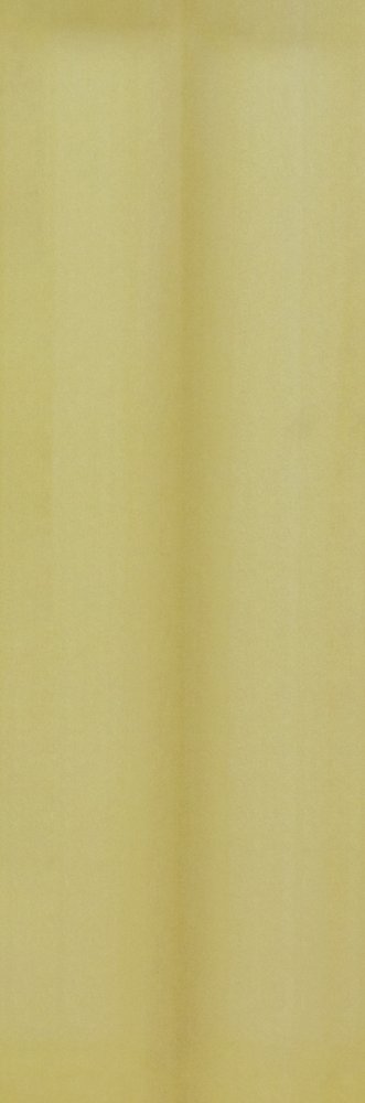 Silken Sunbeam  Decor (100 x 300, Subway) - 1