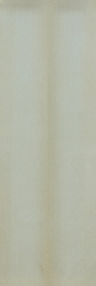 Silken Wheat  Decor (100 x 300, Subway) - 1