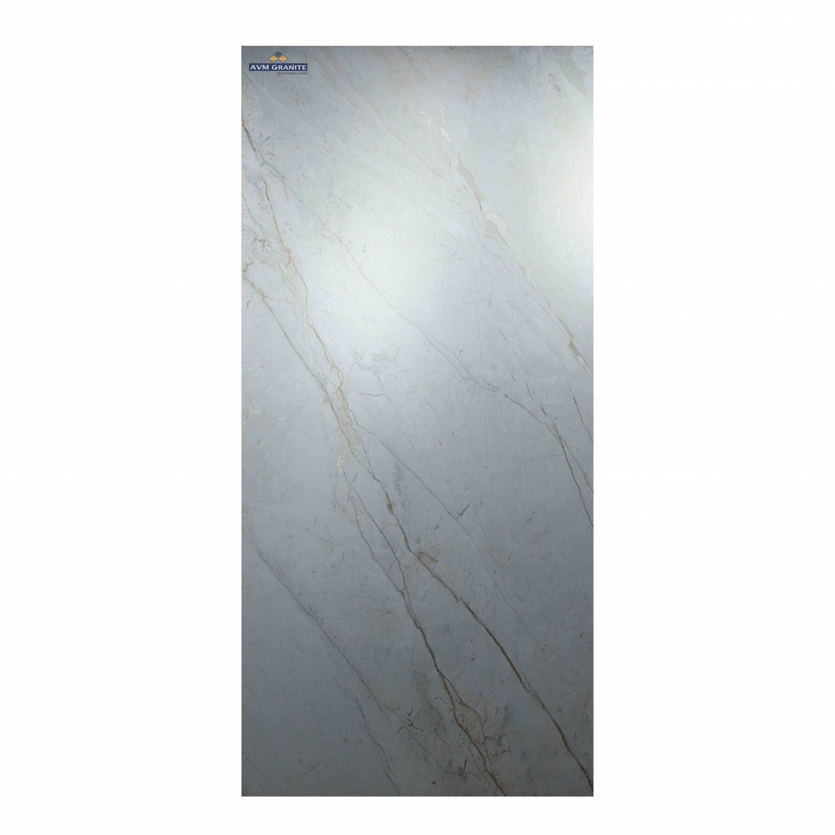 Roots Grey Spa Matt B (1200 x 2400, Motto) - 3