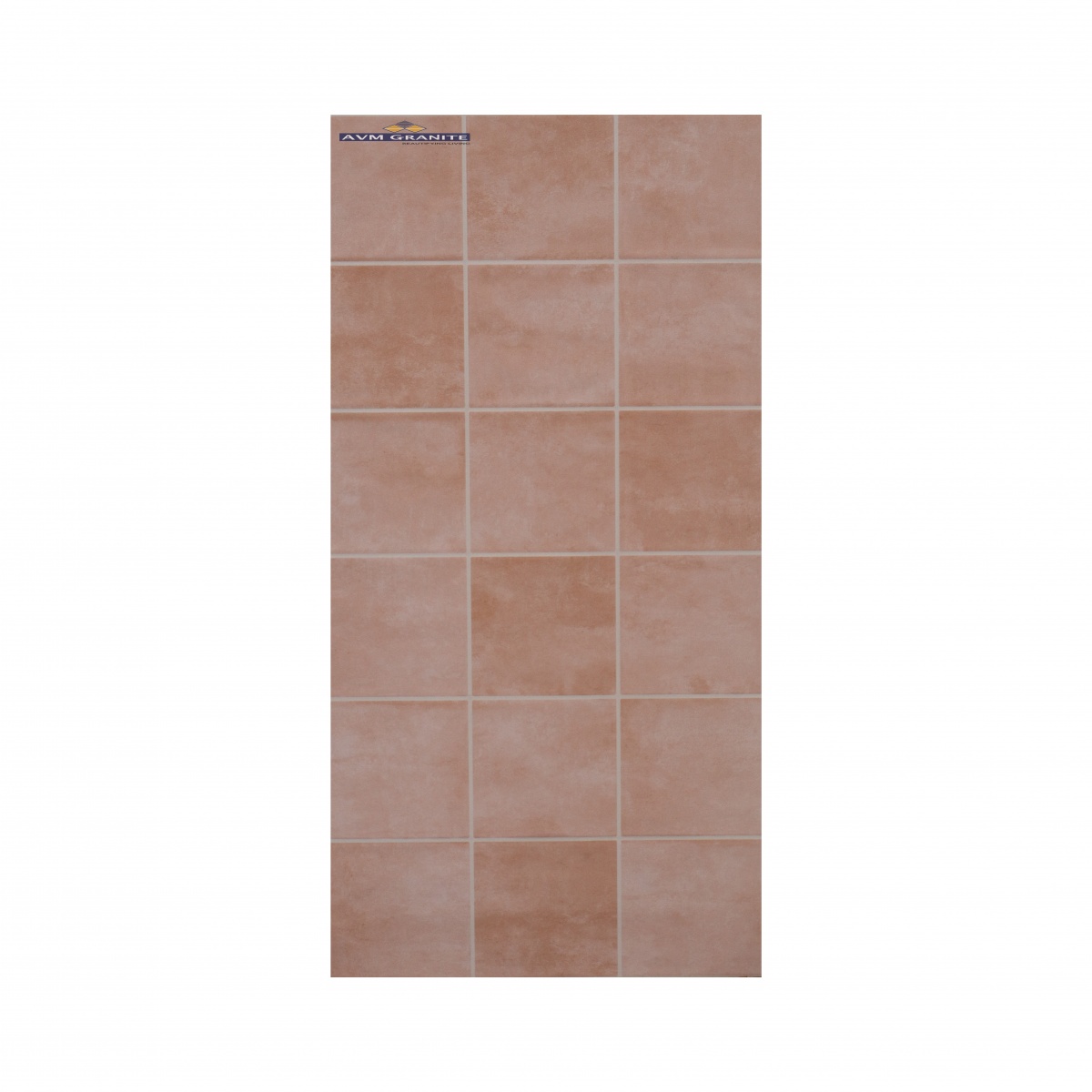 581-Rosa (300 X 600,TMT) - 6