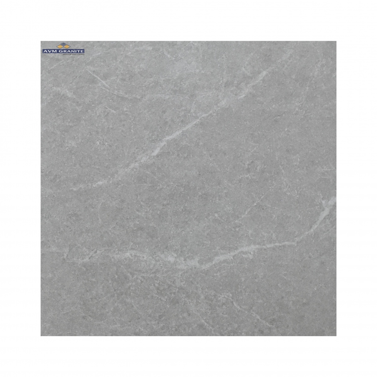 Costco Grigio Granula (600 x 1200, Monza) - 2