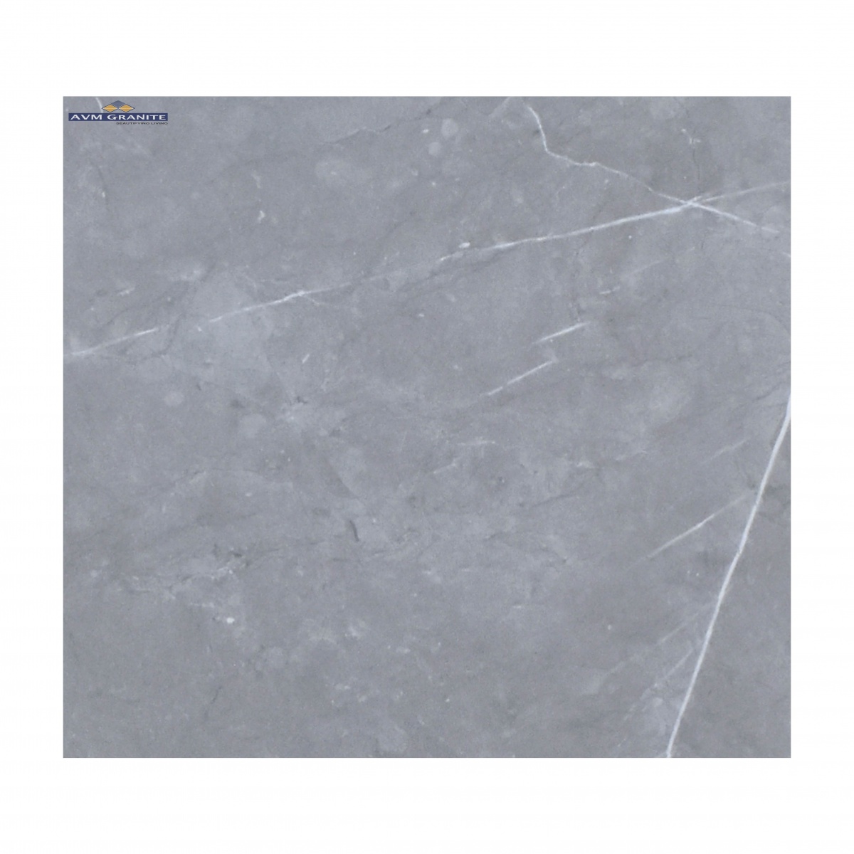 Pietra Grey Carving Carving (600 x 1200, Motto) - 2