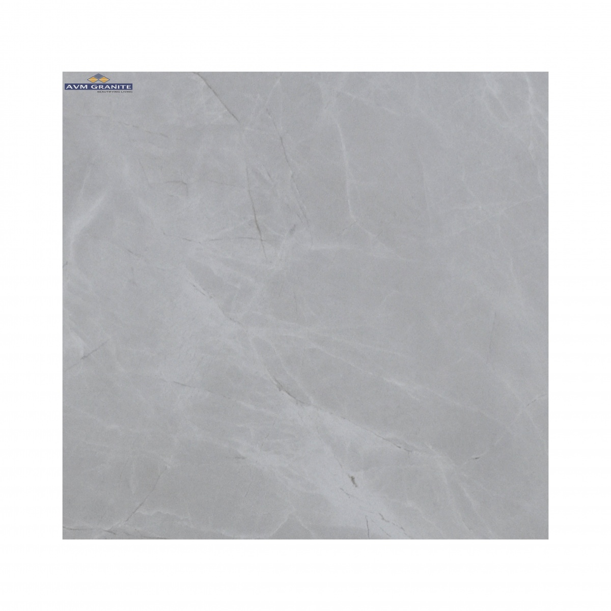 Lexor Bianco Carving + End Carving (600 x 1200, Motto) - 2