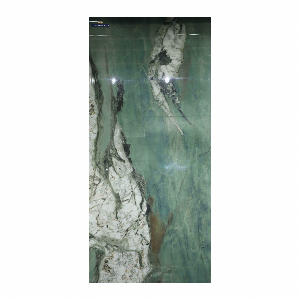 Botanica Green HG High Glossy Surface (1200 x 2400, Itaca) - 3