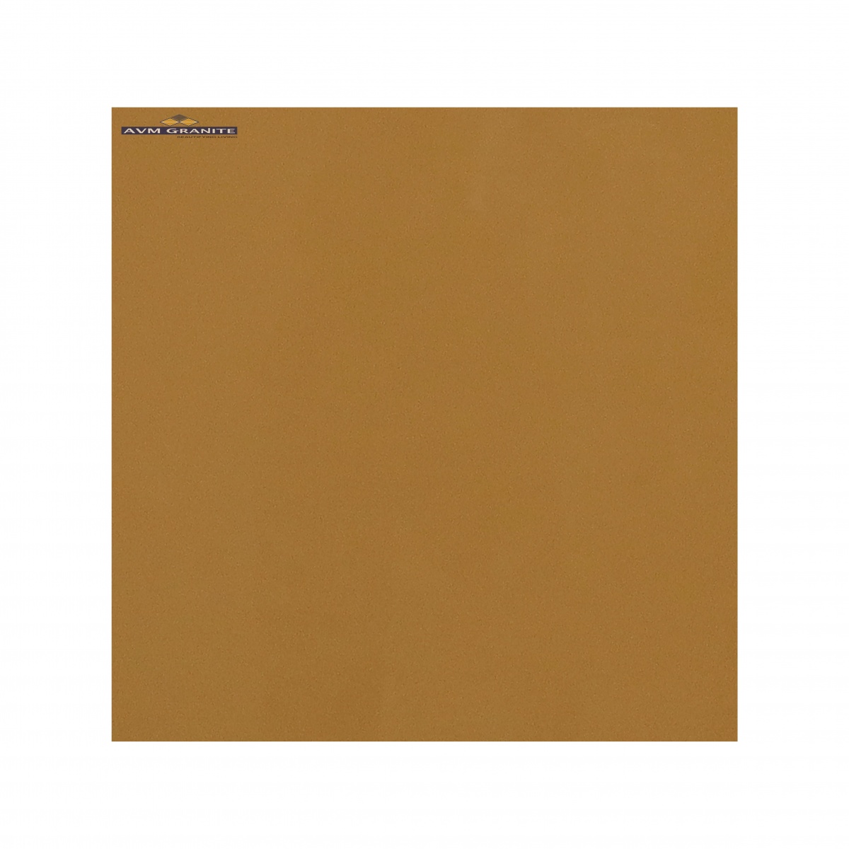 Jaisalmer Polished (600 x 600, Marfil) - 2