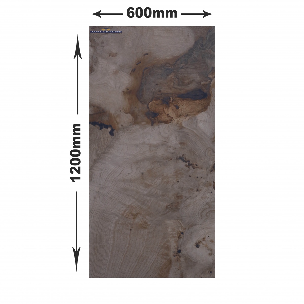 Birch Beige  (600 x1200, Lorence) - 5