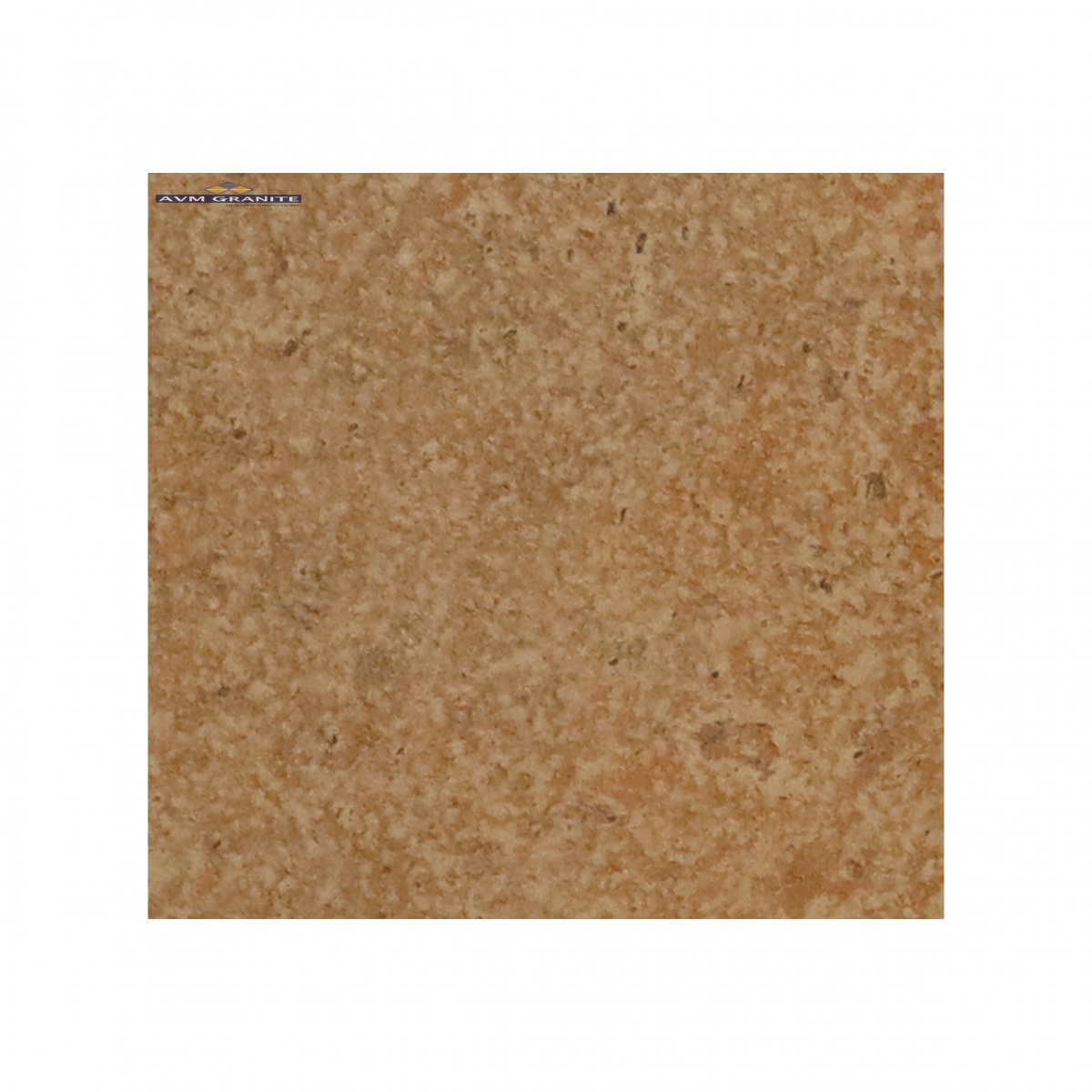 Tuscany Beige GHR Matt Punch 10mm (400 x 400, Motto) - 2