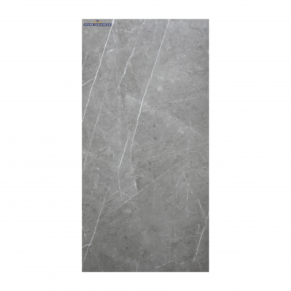 Pietra Dark Grey Carving Carving (600 x 1200, Motto) - 6