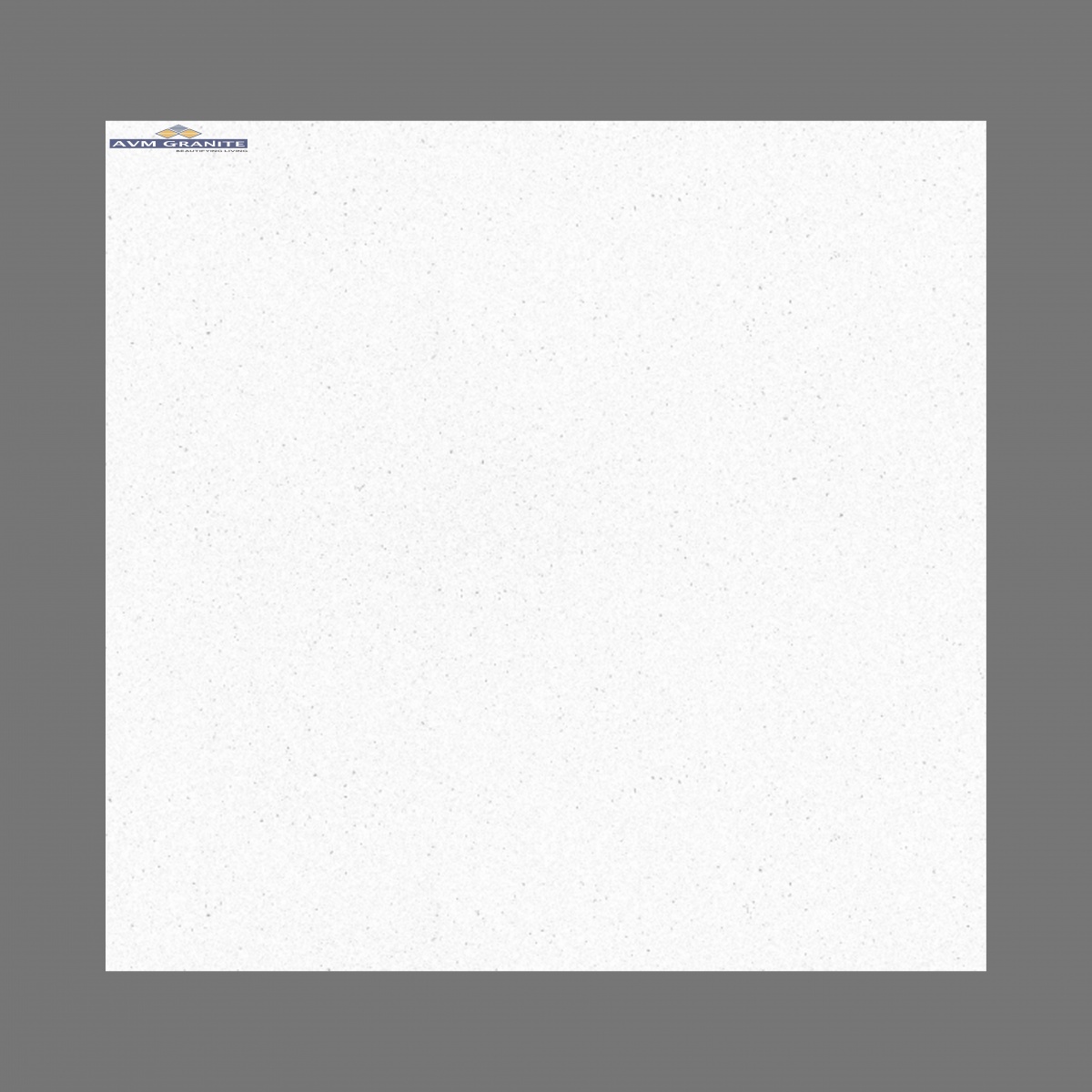 Bianco Pinta (3100 x 1400, 20 mm AGL Quartz) - 2