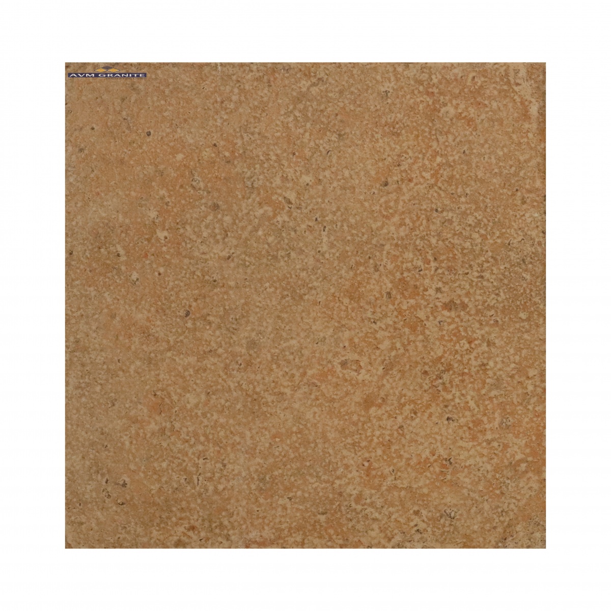 Tuscany Beige GHR Matt Punch 10mm (400 x 400, Motto) - 5
