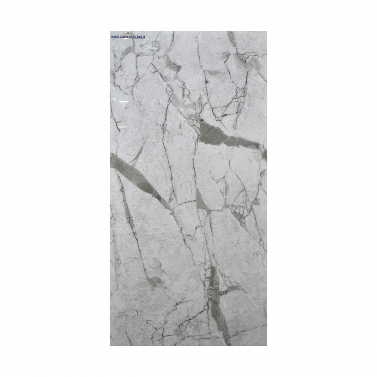 Rozalia Grey Glossy EDL (600 x 1200, Itaca) - 6