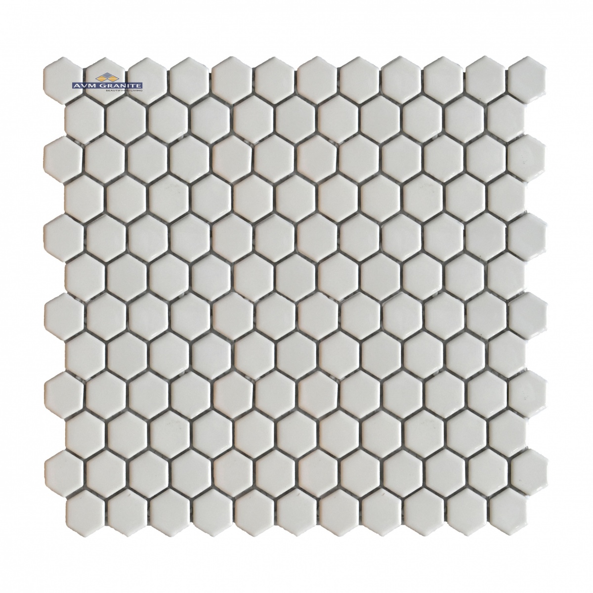 G 1650 Glossy (23 x 25, 255 x 295, Lemina) - 4