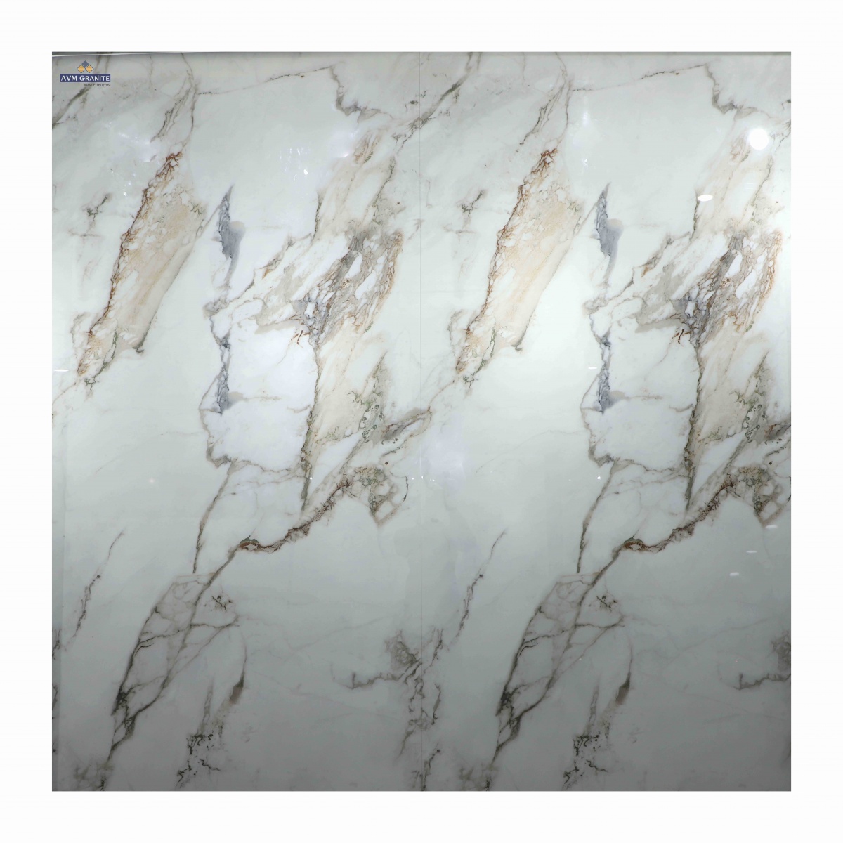 Picasso Green Hybrid CB (1200 x 2400, Motto) - 3