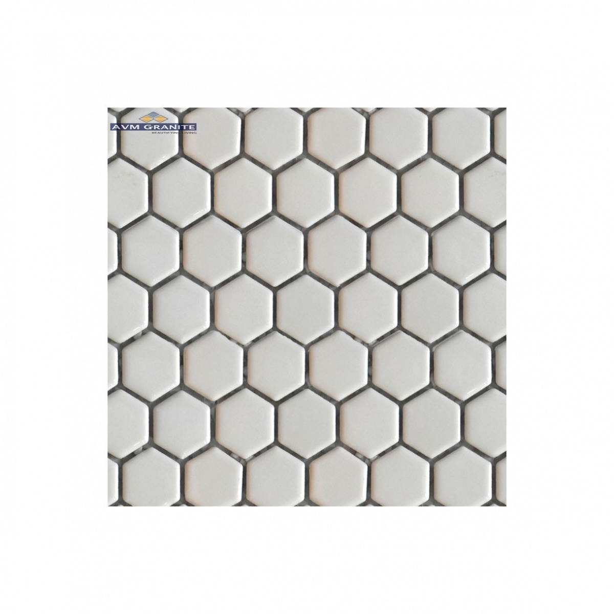 G 1650 Glossy (23 x 25, 255 x 295, Lemina) - 1