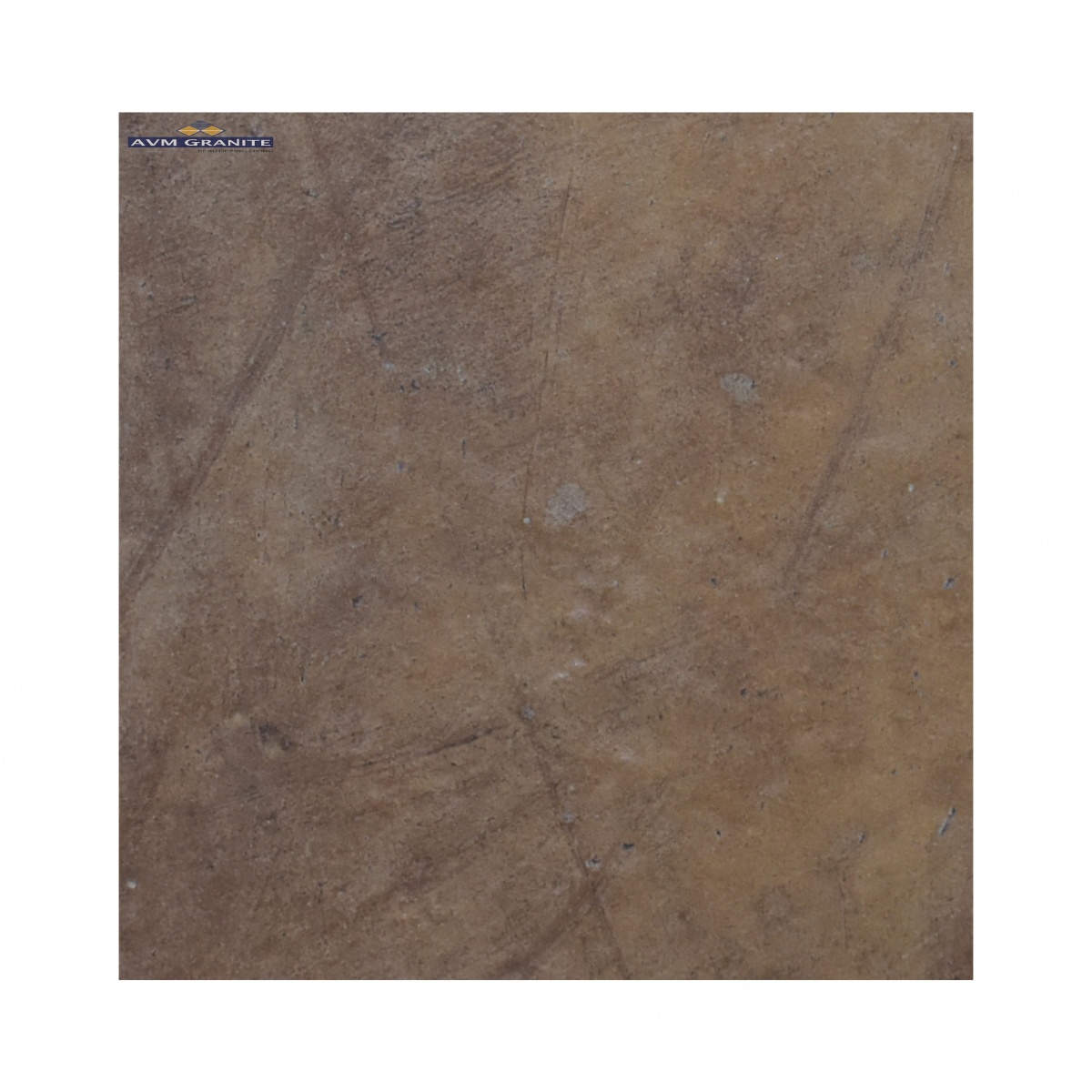 Cotto ( 500 x 500, Paradise) - 2