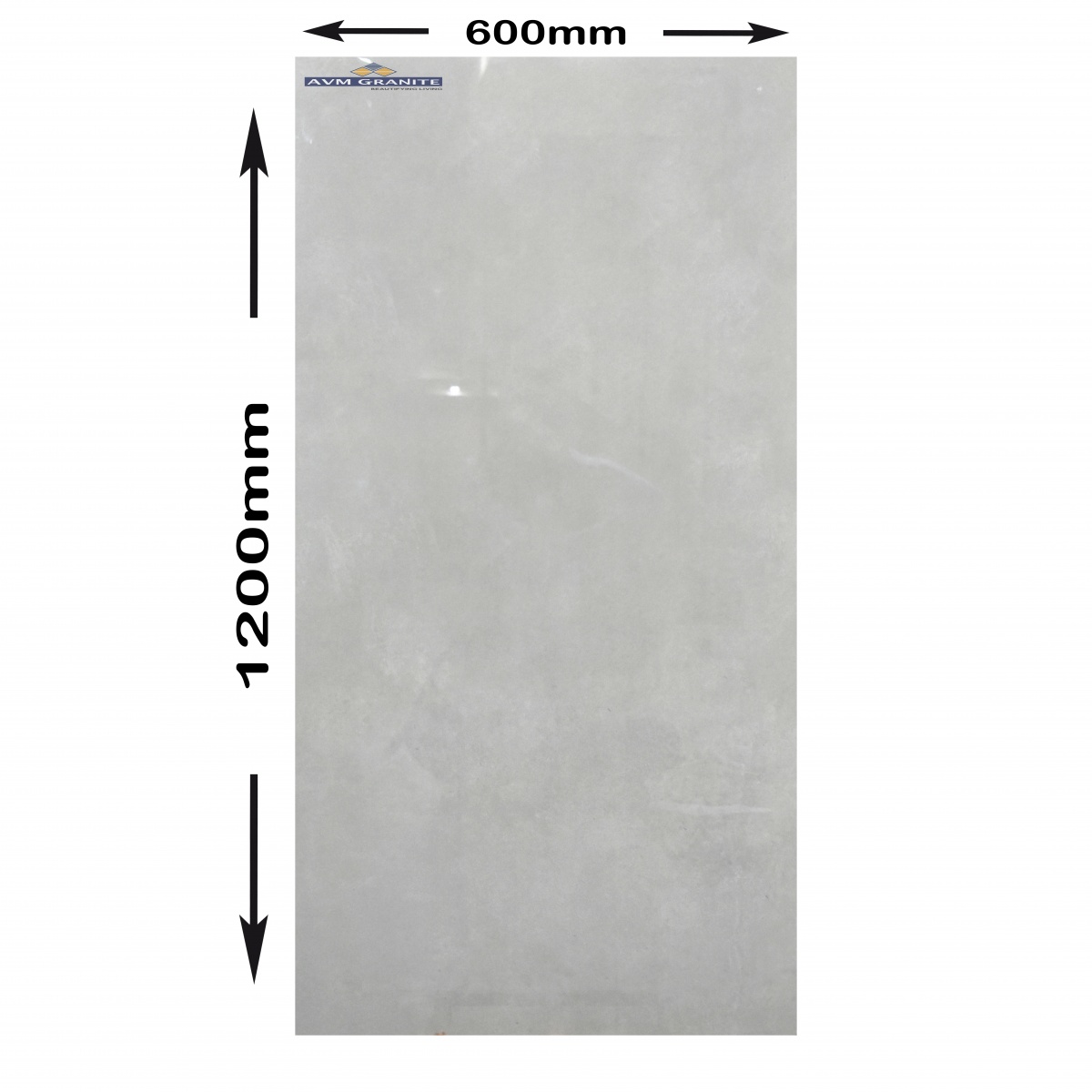 Sanito Dove Super Gloss (600 x 1200, Itaca) - 5