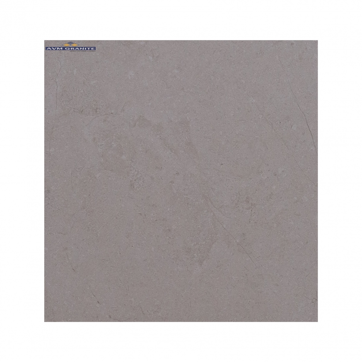 Next Marfil (400 X 1200,TMT) - 2