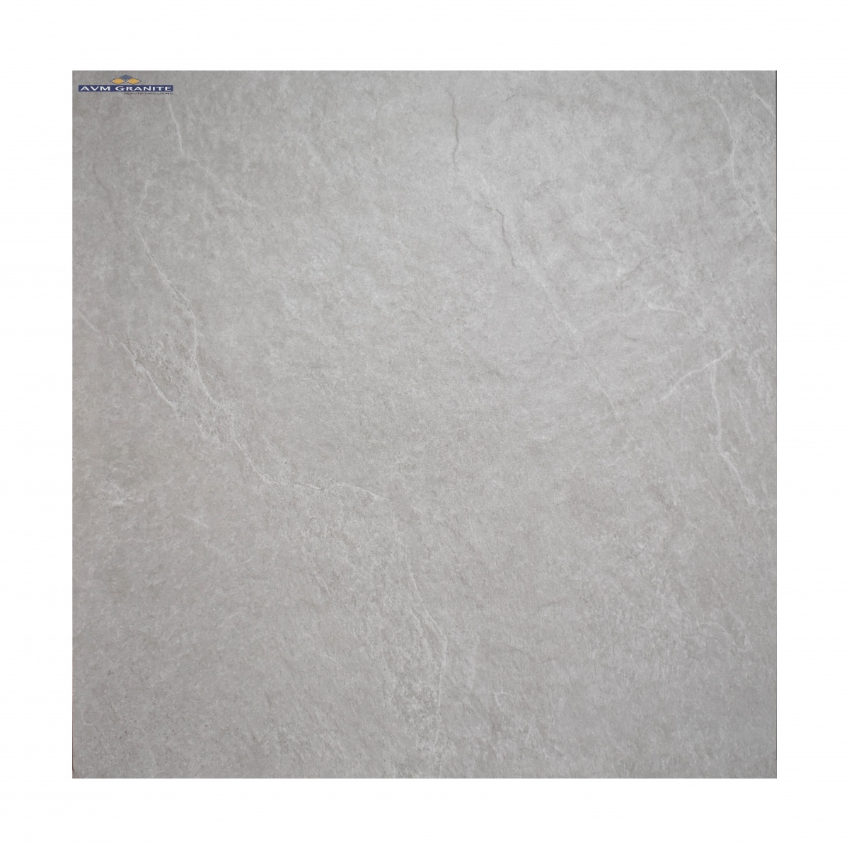 Rivera Silver Rustic Matt 12mm (600 x 600, Duracon) - 5