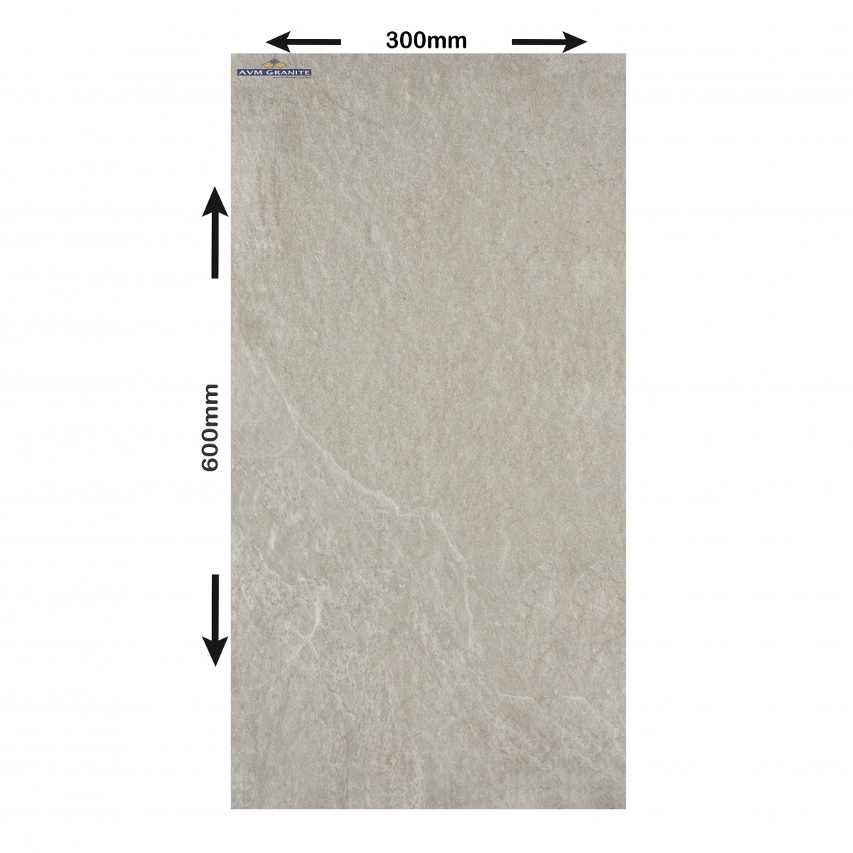 Rivera Silver Rustic Matt 12mm (600 x 298, Duracon) - 4