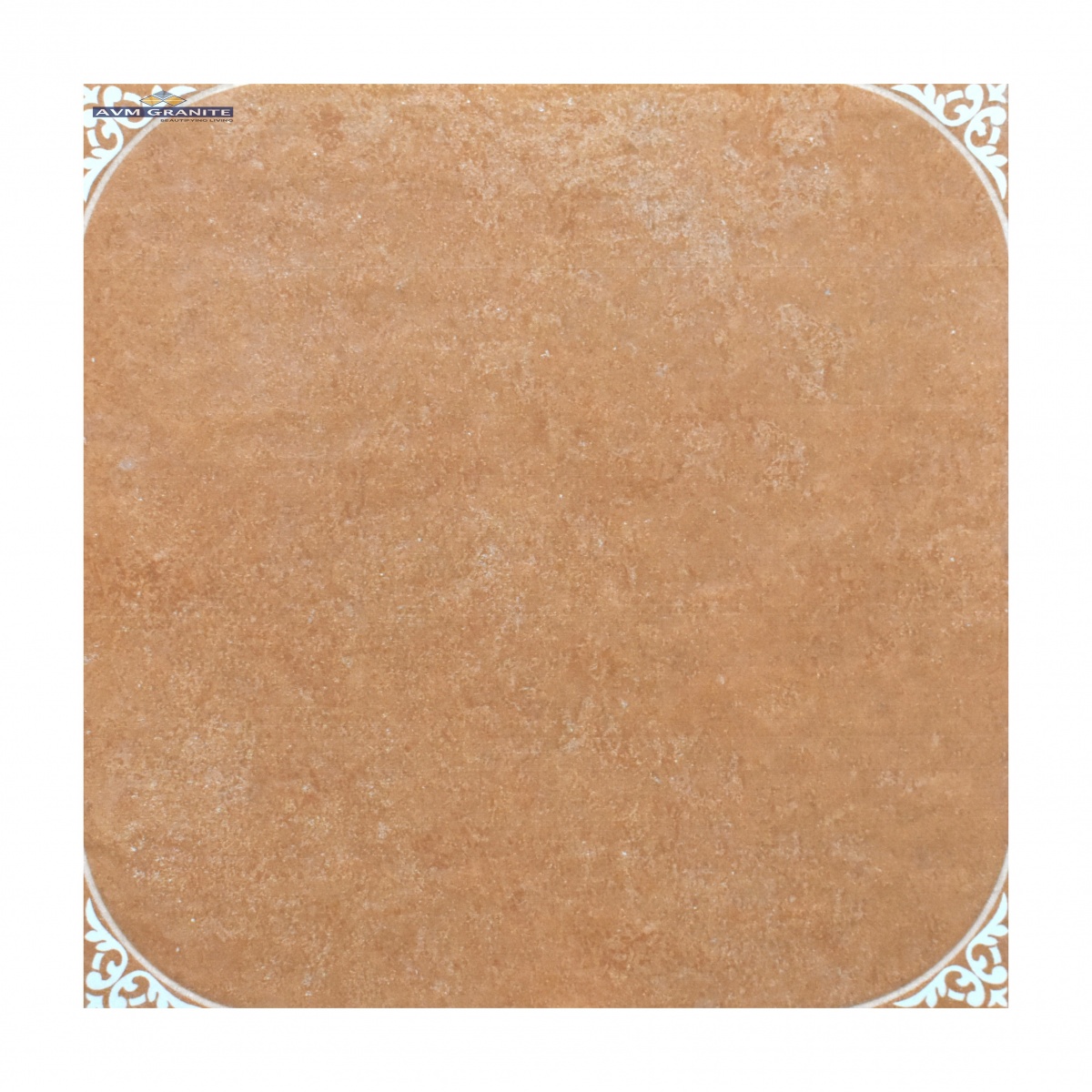 DG - 345 Regalia Cotto (300 x 300, Bej ) - 5