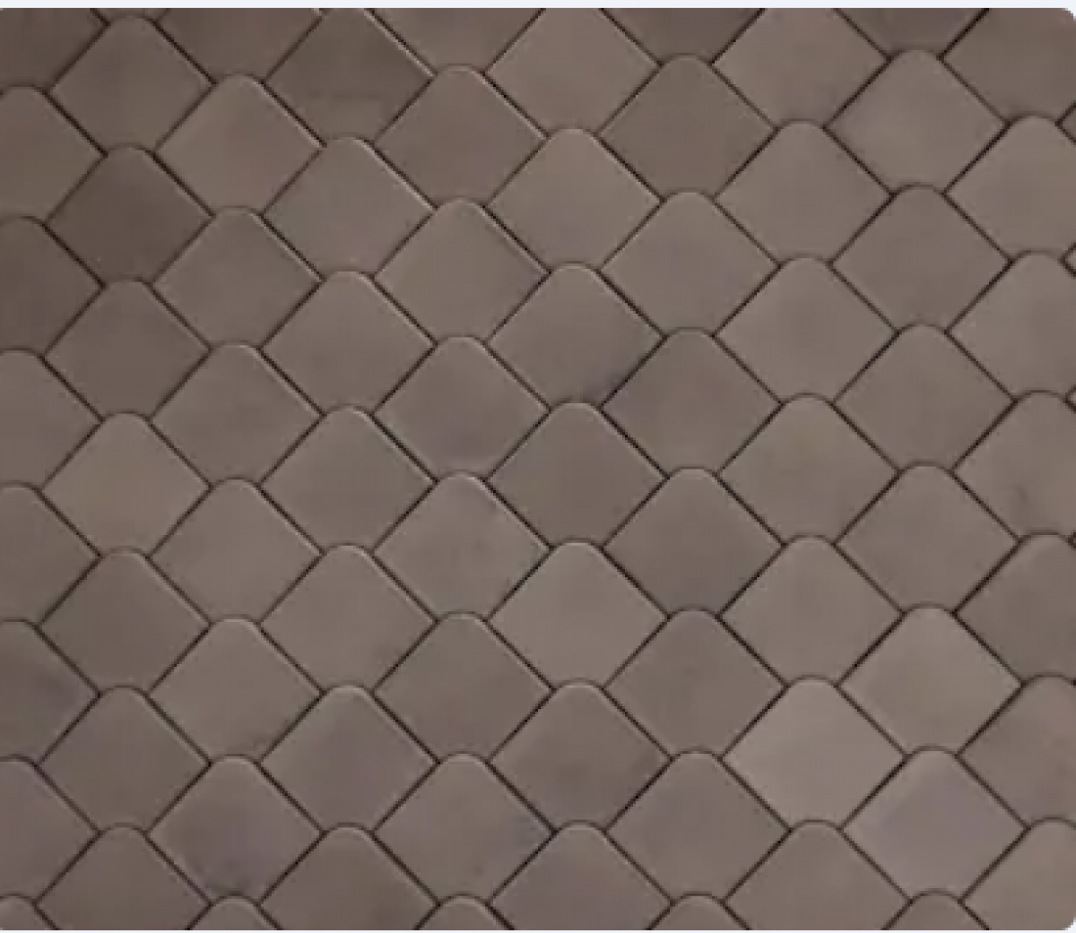Scale  Queenage ( 122 X 150, Colorstone) - 6