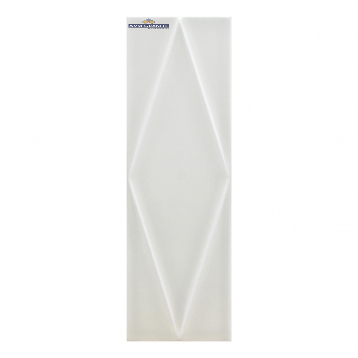 Salt Matt (100 x 300, Lemina) - 4