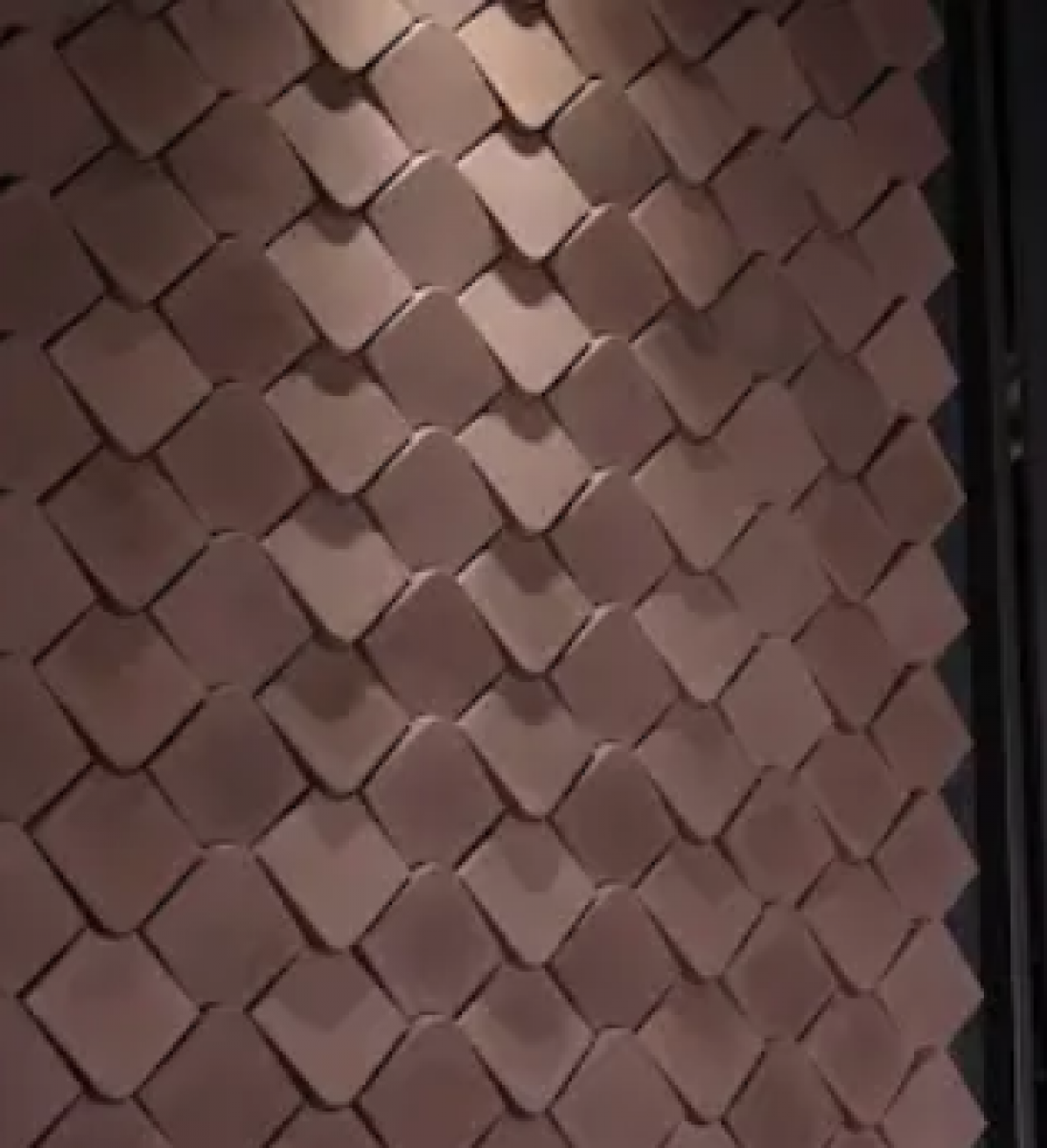 Scale  Kalua  ( 122 X 150, Colorstone) - 6