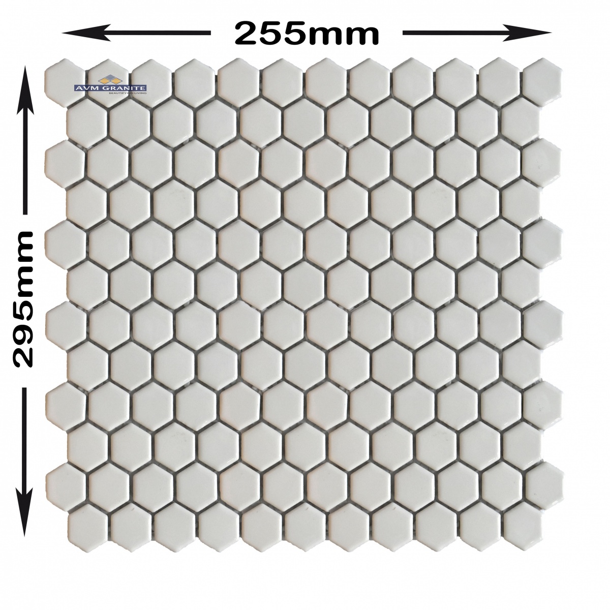 G 1650 Glossy (23 x 25, 255 x 295, Lemina) - 3