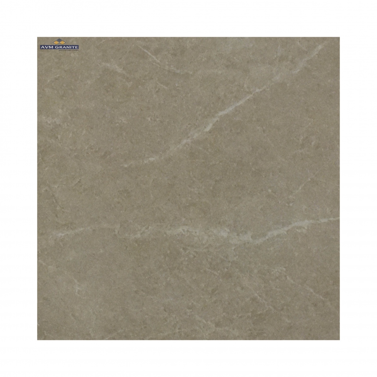 Costco Beige Granula (600 x 1200, Monza) - 2