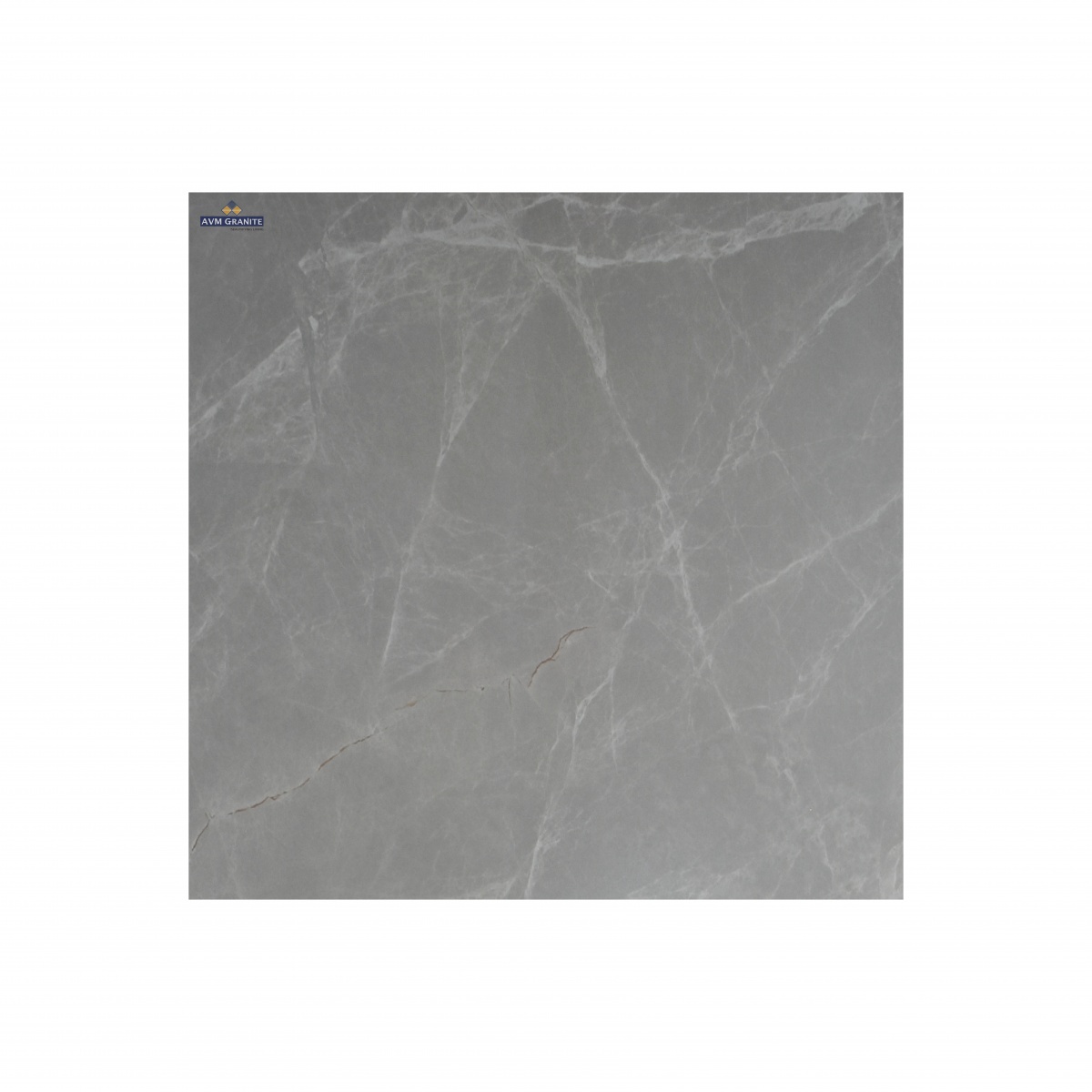 Celion Grey Satin+ Satin Matt Endless (600 x 1200, Motto) - 2