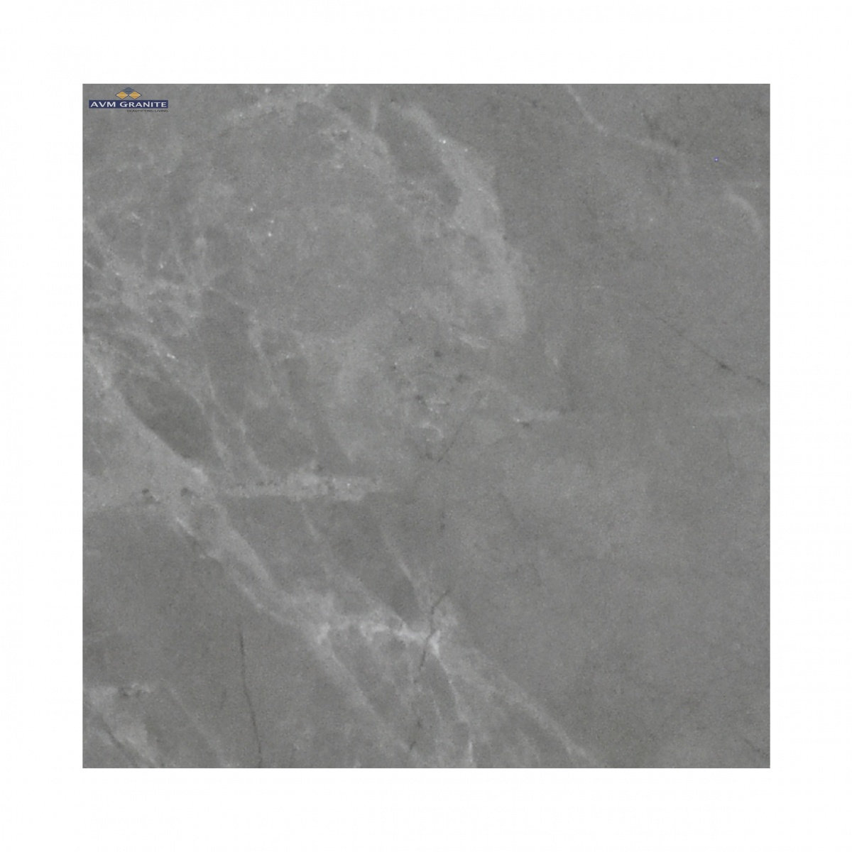 CV Tokyo French Grey Endless Carving (600 x 1200, Itaca) - 2
