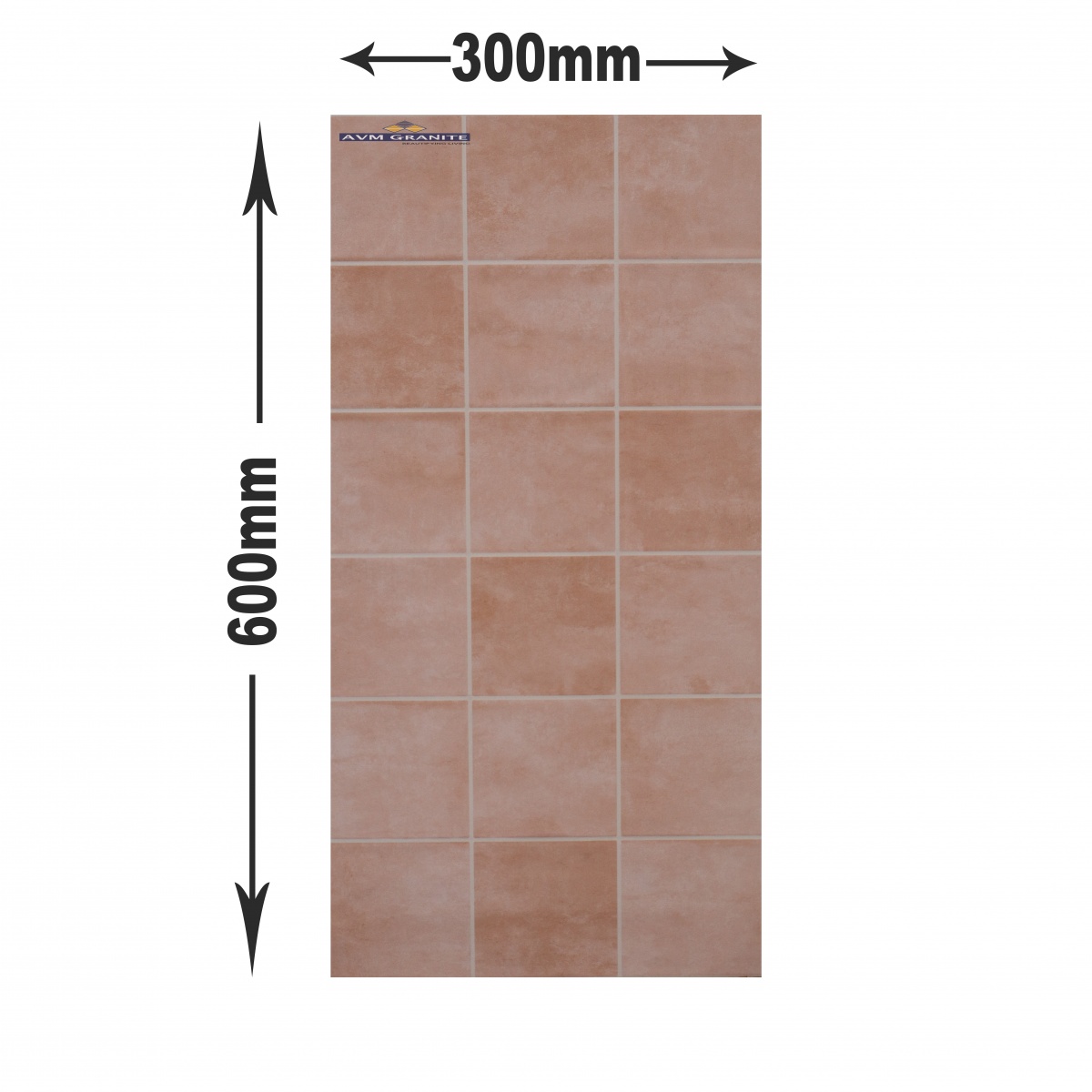 581-Rosa (300 X 600,TMT) - 5