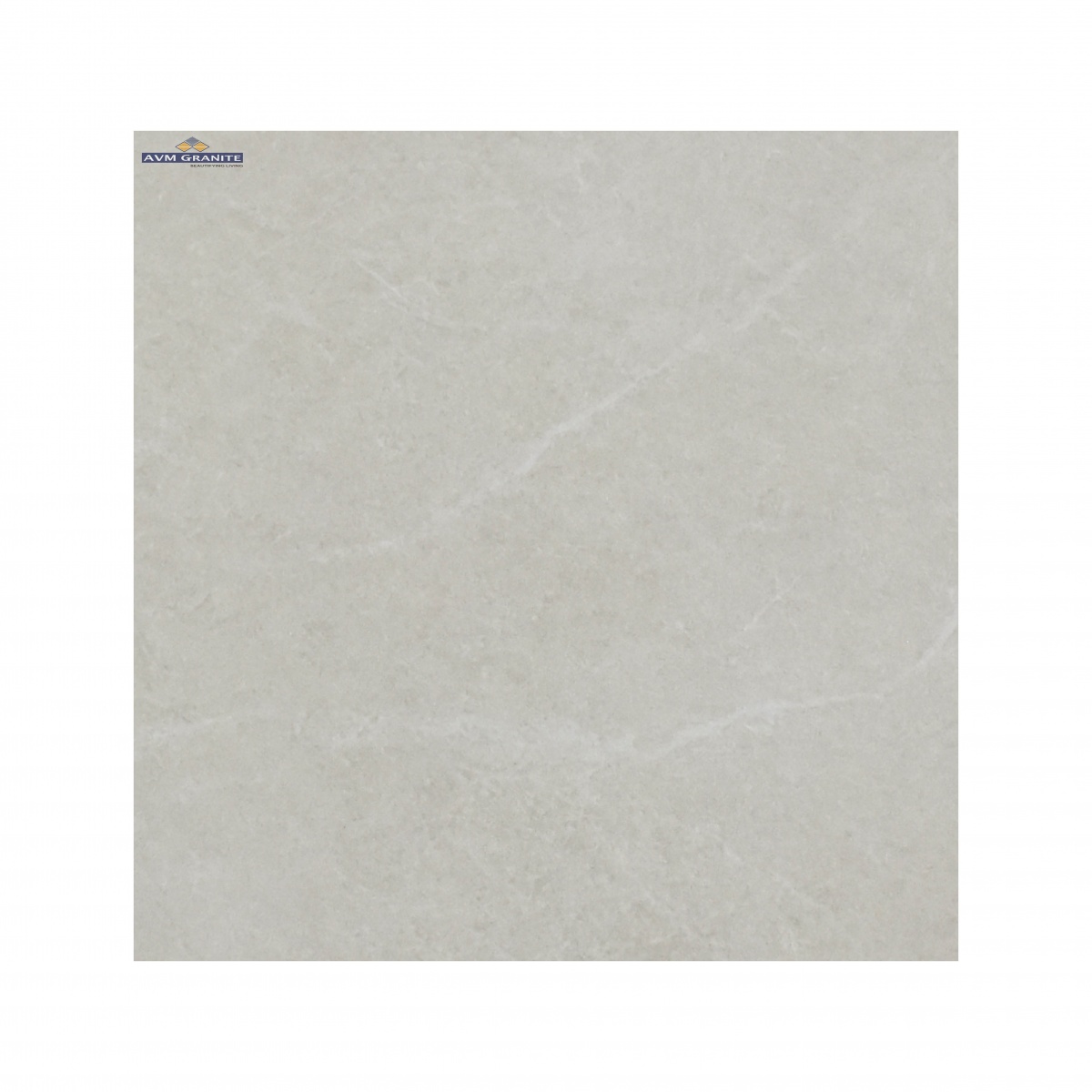 Costco White Granula (600 x 1200, Monza) - 2