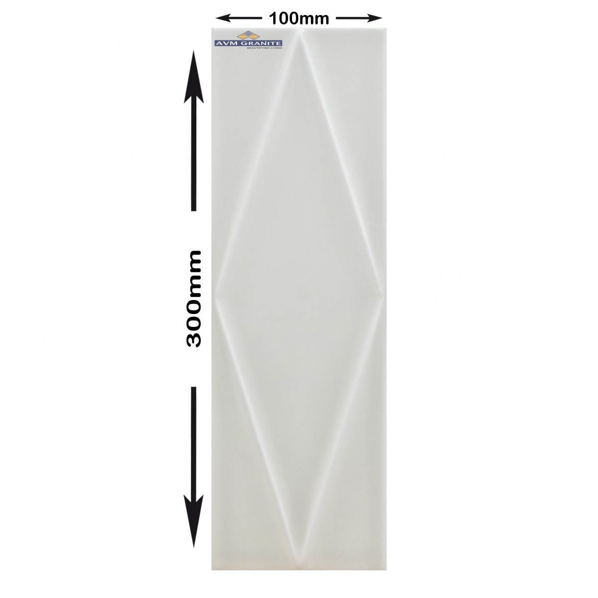 Salt Matt (100 x 300, Lemina) - 3