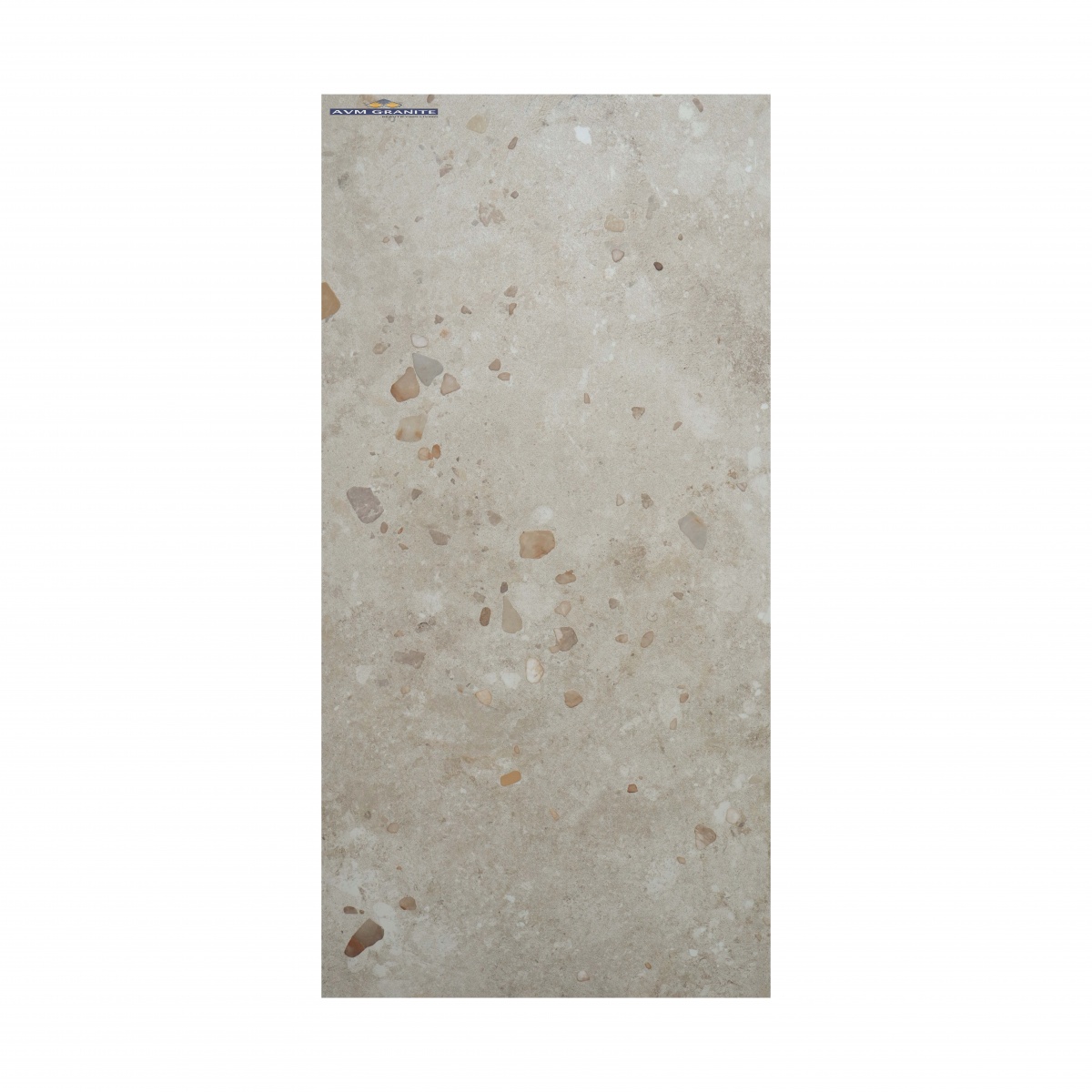 Exotica Stone Blanco Matt Matt with Glossy effect M (600 x 1200, Exotica) - 6