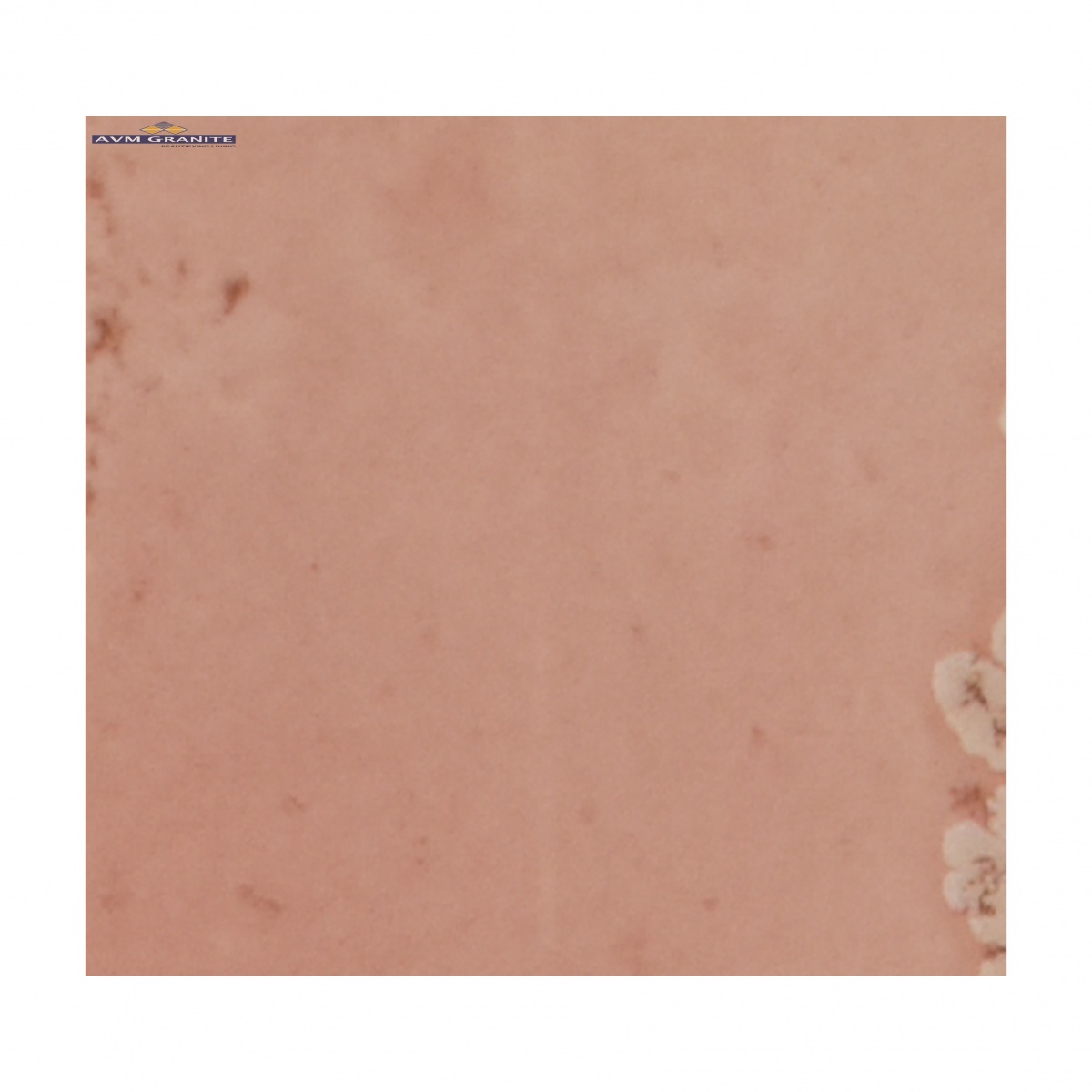 Martinica Coral ( 75 x 300, Milagro ) - 2