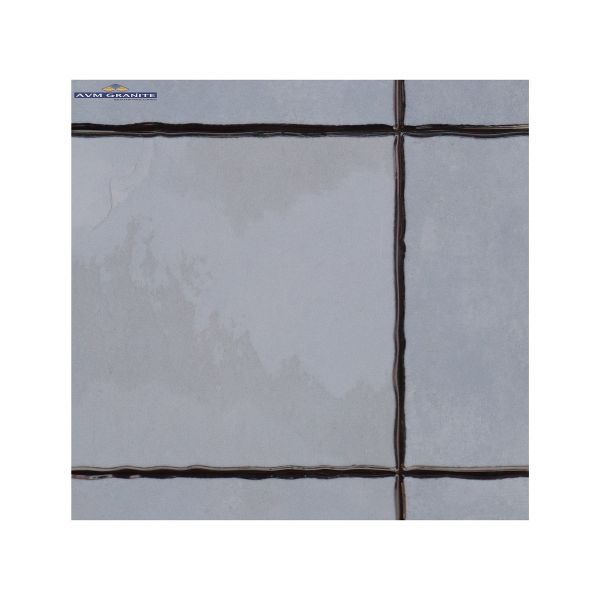 209 Light (300 X 600,TMT) - 2