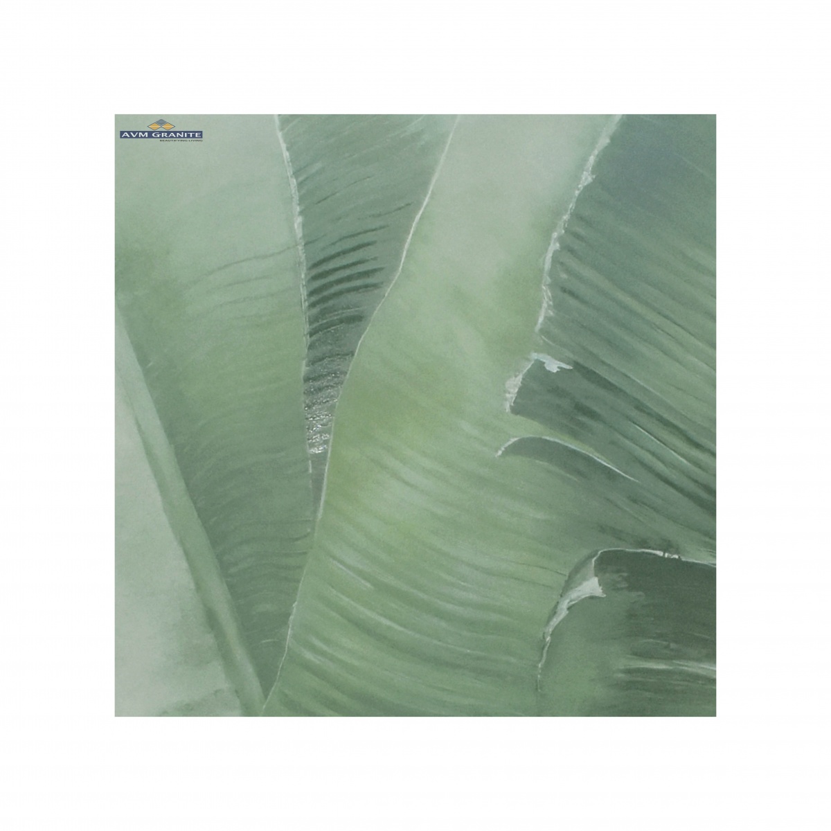 DG CV Lily Leaf Decor A DG Matt + Luster (1200 x 2400, Itaca) - 2