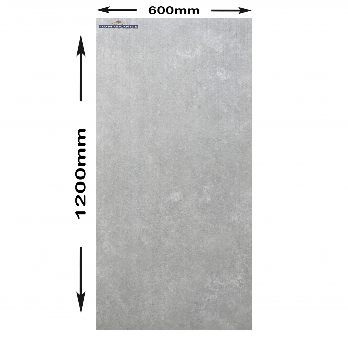 Palmiro Grey  Protex Punch (600 x 1200, Itaca) - 5
