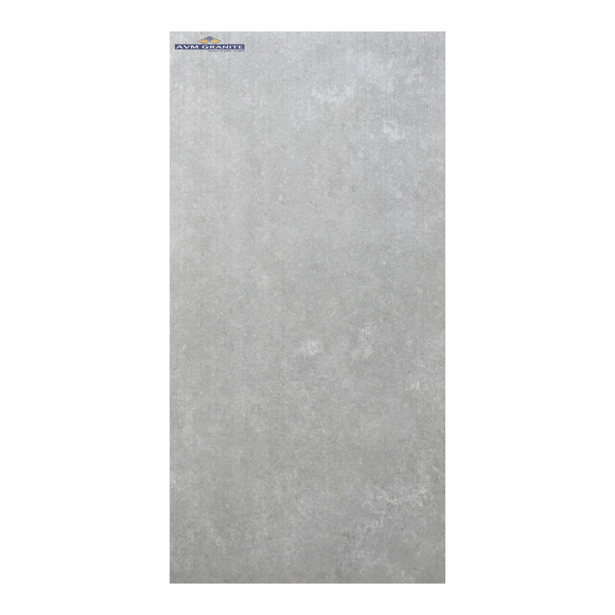 Palmiro Grey  Protex Punch (600 x 1200, Itaca) - 6