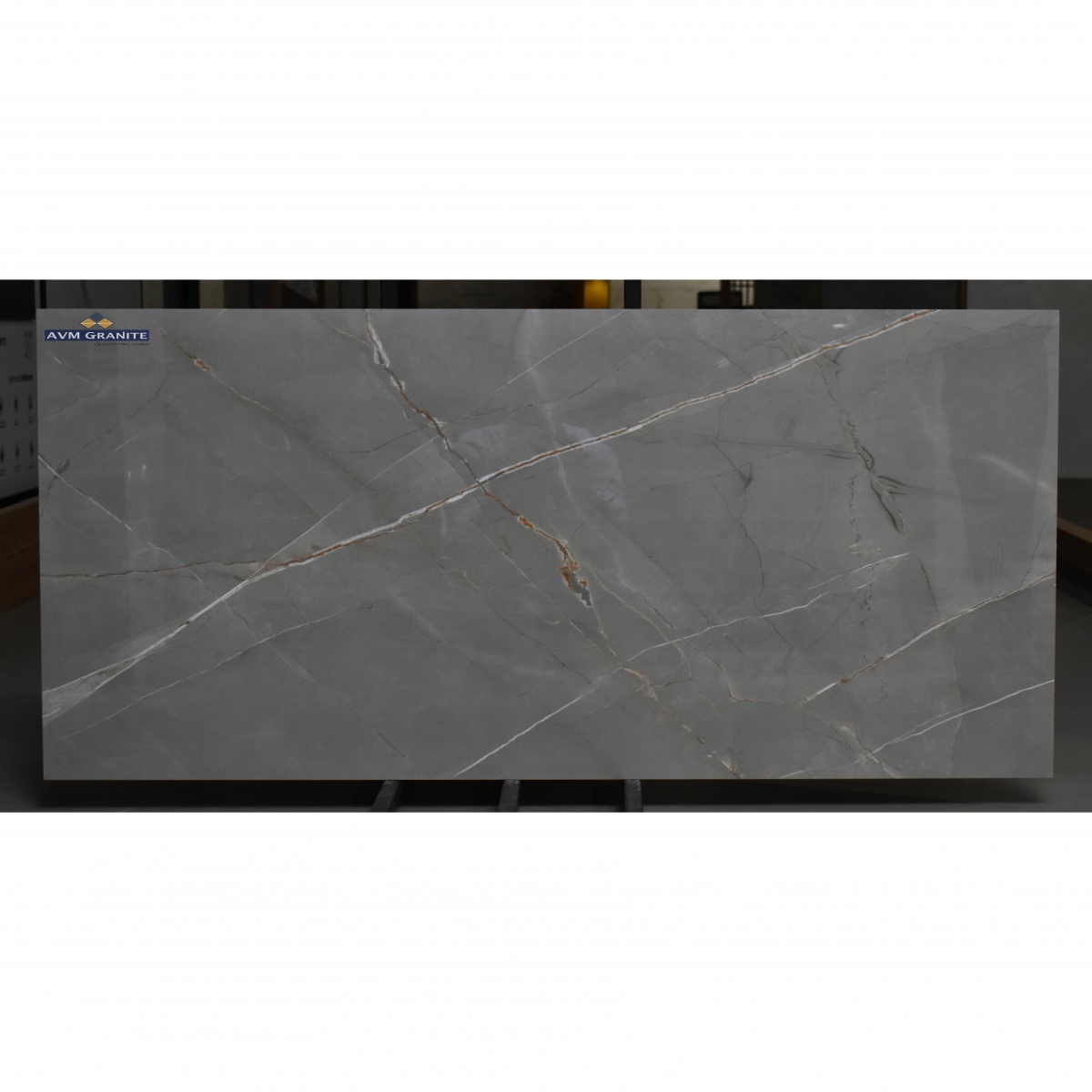 33616 Dark (600 x 1200, Renite) - 4