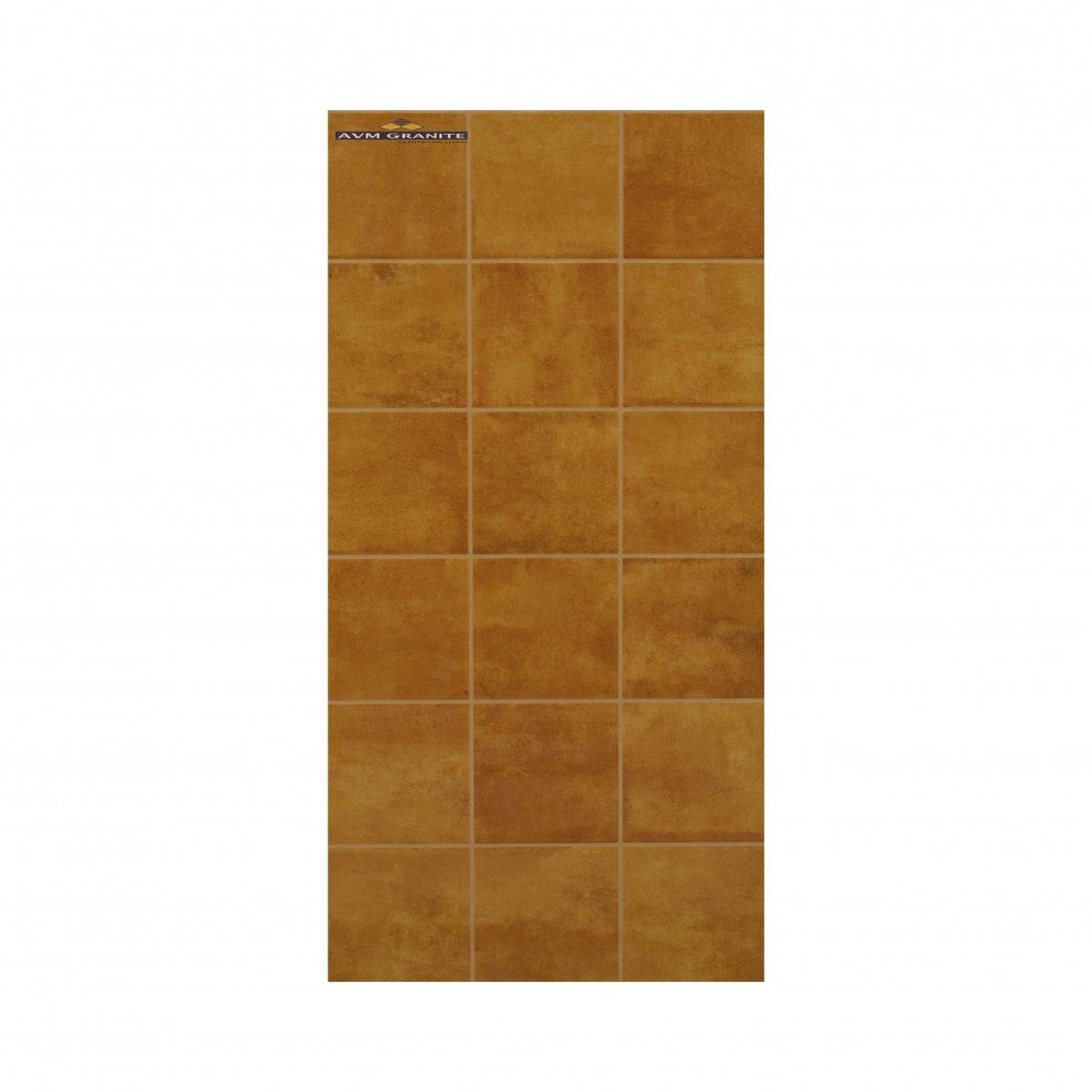 581-Ocre (300 X 600,TMT) - 6