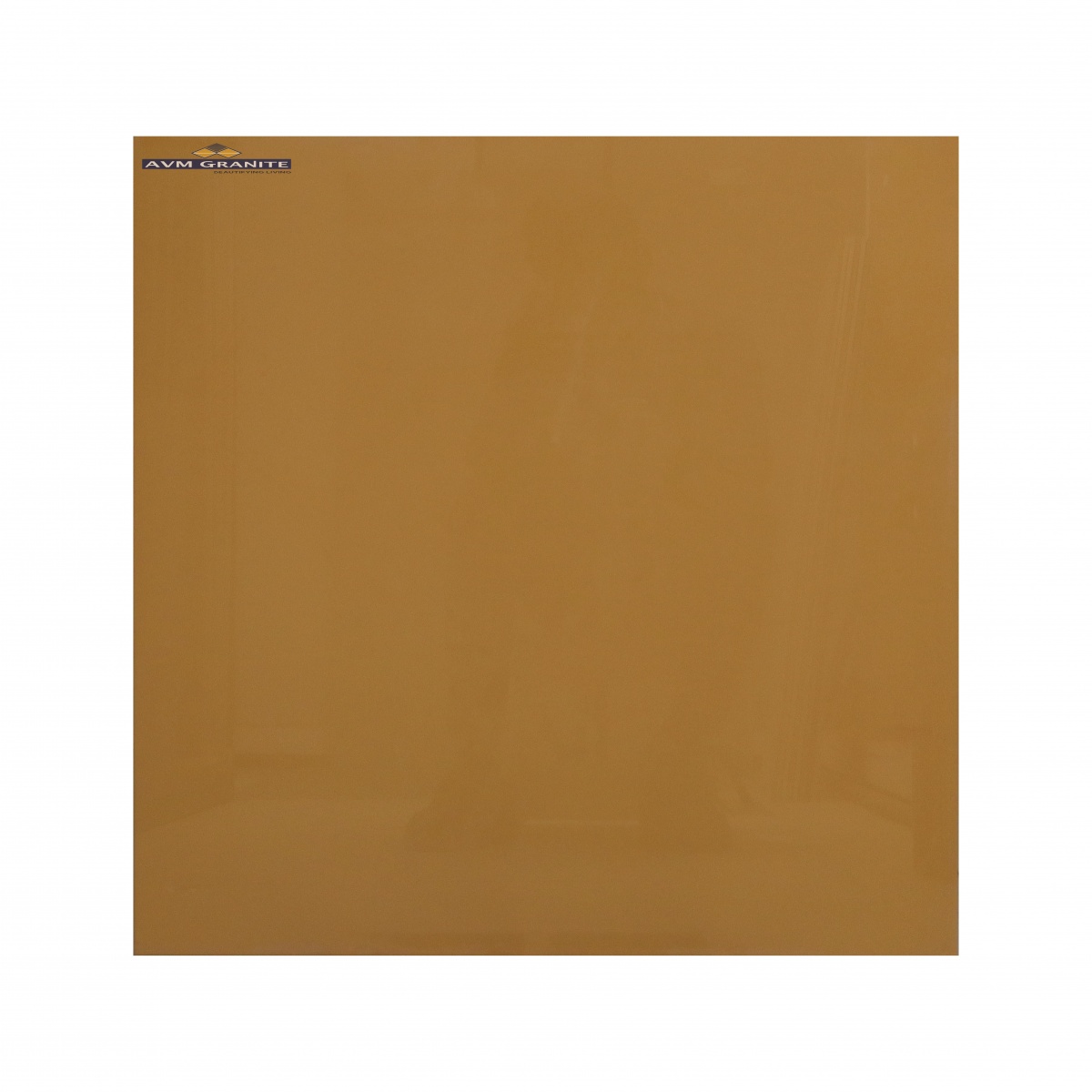 Jaisalmer Polished (600 x 600, Marfil) - 5