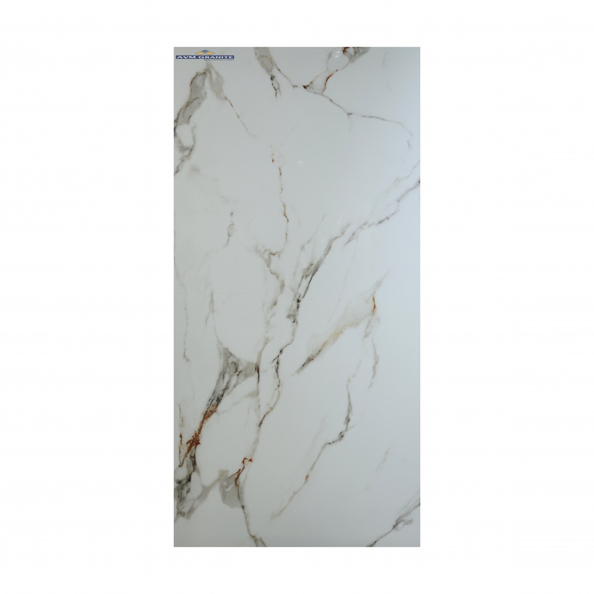 Statuario Classic Steel (800 x 1600, Motto) - 6
